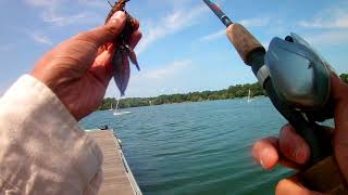 Clear water bass fishing at Jamaica Pond MA [upl. by Eimma]