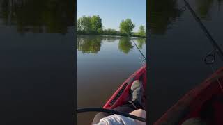 Pike Bite shorts fishing agressive pike angling kayakfishing exciting fish aggressive fun [upl. by Ateekan]