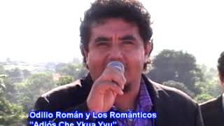 Adios che ykua yvu  Odilio Roman y los Romanticos [upl. by Oilicec]