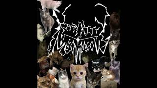 kitty kitty meow meow  hairball full album [upl. by Elberfeld250]