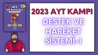 Destek Hareket Sistemi  1 AYT Biyoloji Kampı Konu Anlatımı 11Sınıf 2024 Tayfa [upl. by Kcin]