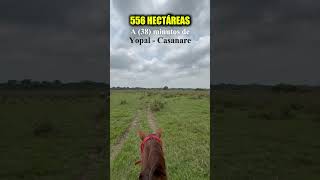 🔥OJO Bonita Finca  en venta🍃57 321 385 4530🔥 [upl. by Aisined]