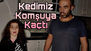 Kedimiz Komşuya Kaçtı Esmanur ve Babası Kediyi Aradı [upl. by Siro295]