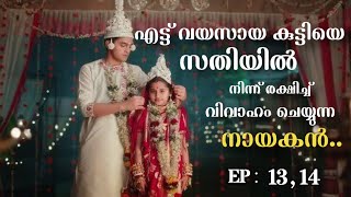 Barrister babu  Episode 1314  Malayalam Explanation [upl. by Nylyrehc]