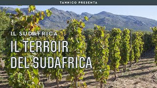 Il terroir del Sudafrica  Tannico Flying School [upl. by Yeh]