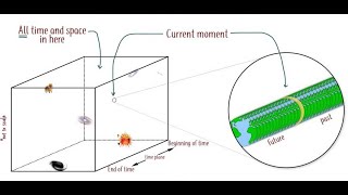 The block universe model is another illusion of todays cosmology [upl. by Murton]