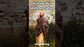 Kicking Out Sentimentalism  Prabhupada 0226 [upl. by Ffoeg834]