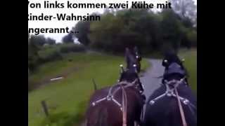 2 Shires vor der Kutsche gehen durch  bolting Clydesdales [upl. by Ahsias]