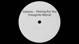 Cassius  Feeling For You Inkognito Remix [upl. by Esinert]