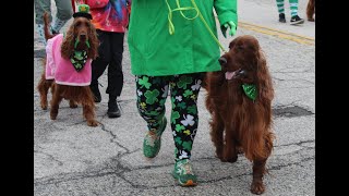 The 182nd St Patrick’s Day Parade in Cleveland – March 17 2024 [upl. by Ssidnak986]