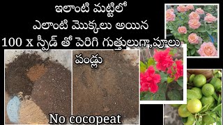 universal potting soil  perfect soil mix for any plants in telugu [upl. by Pacorro]