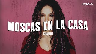 Shakira  Moscas en la Casa Letra [upl. by Chisholm]