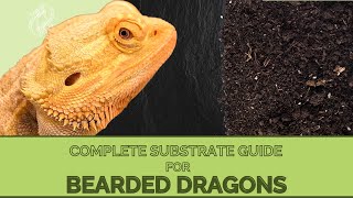 What Types of Substrates Are Recommended For Bearded Dragons [upl. by Zarihs]