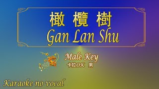 橄欖樹 【卡拉OK 男】《KTV KARAOKE》  Gan Lan Shu Male [upl. by Akkina666]