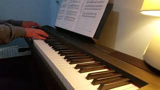 Bryan Adams  Have You Ever Really Loved A Woman piano cover [upl. by Velvet42]