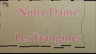 Prompteur karaoké  Stéfane Lyre  Notre Dame  Les Frangines [upl. by Nisior948]