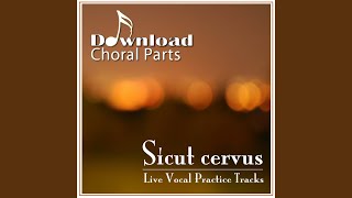 Sicut cervus  Bass Emphasized [upl. by Bradley783]