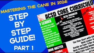 Cane Self Defense Mastering The Cane in 2024Step By Step Guide [upl. by Innig19]