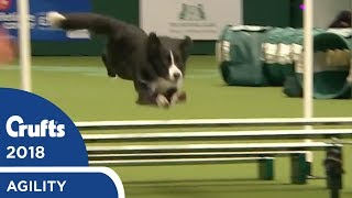 Agility  Championship Round 1 Jumping Part 2  Crufts 2018 [upl. by Ynnek]