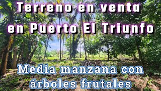 🔹 66000🔹Se vende media manzana de terreno en Puerto El Triunfo Usulután [upl. by Labanna585]