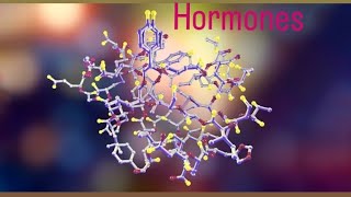 hormone  function of hormone  hormone classification viral trending YouTube [upl. by Dazhehs55]