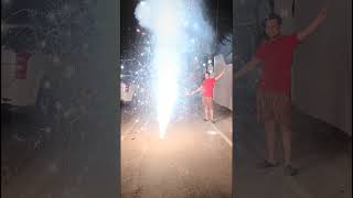 Flower pot happydiwali shorts fireworks viralvideo flowerpot skyshot [upl. by Ahsimet695]