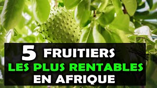 AGRICULTURE Voici les 5 arbres fruitiers les plus rentables à cultiver en Afrique Fruits [upl. by Sage]