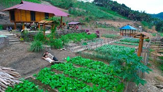 Sang vy builds a farm together plants and harvests vegetable garden chickens  Sang vy farm [upl. by Bathilda]