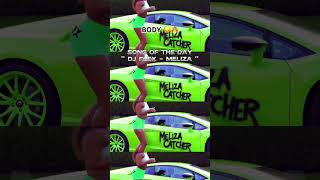 DJ Flex  Meliza 🟩🟢 afro afrobeat afrobeats love afro newmusic music [upl. by Rickey]