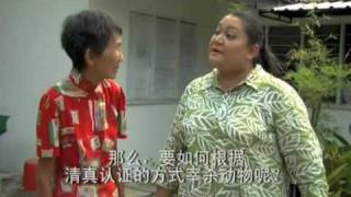 Halal by Liew Seng Tat  Chinese Subtitles  15Malaysia [upl. by Mathis]