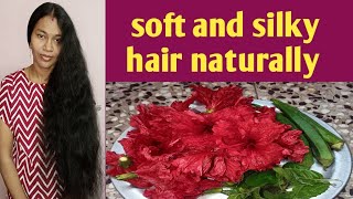 soft and silky hair naturally at home remediesdry and frizzy hair treatment at home [upl. by Nnyliak]