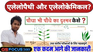 what is Allelopathy and allelochemicals functional properties of plants what is allelochemicals [upl. by Elspet123]