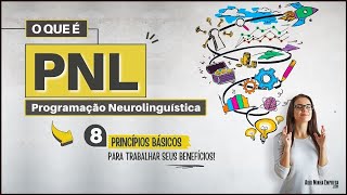 O QUE É PNL Programação Neurolinguística  Significado e 08 Princípios Resumido [upl. by Shoemaker]