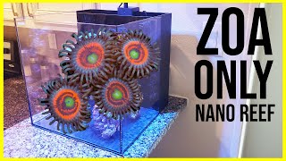 Step 1  Aquascaping the ZoanthidOnly Nano Reef [upl. by Zelazny765]