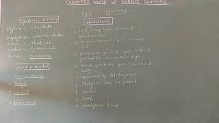 M Sc Zoology Pyrosoma Life cycle [upl. by Fiden]