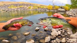 LARGEMOUTH  SMALLMOUTH BASS CATCH amp COOK TASTE TEST [upl. by Brindle]