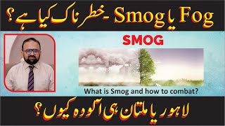 SMOG  What are the hazards and what are the strategies to combat it [upl. by Olympie]