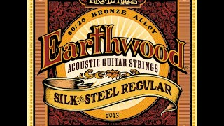 Ernie Ball 2045 Earthwood 8020 Bronze Silk and Steel Soft Acoustic Guitar Strings Review [upl. by Glanville270]