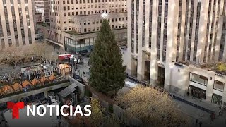 Todo listo para el encendido del árbol de Navidad en Rockefeller Center [upl. by Carpet]