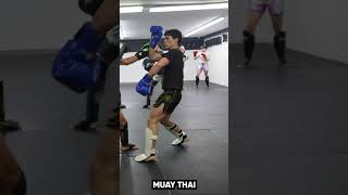 Muay Thai vs Taekwondo Seqeunce IN SPARRING [upl. by Eiral620]