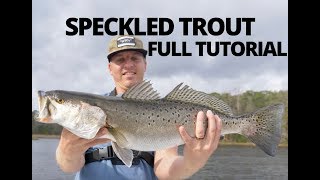 HOW TO CATCH SPECKLED TROUT Sea Trout  TUTORIAL and EVERYTHING TO KNOW [upl. by Lekzehcey]