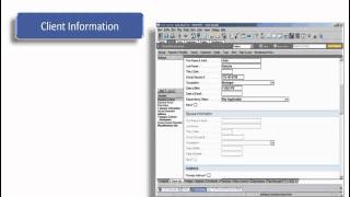 Tax Import Client Setup [upl. by Euqinomod]