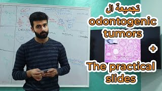 تجميعة ال Odontogenic tumors  ال practical slides  أورال باثولوجي  عزت شومان [upl. by Demodena888]