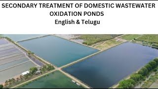 Secondary Treatment of Domestic Wastewater Oxidation Ponds [upl. by Ruth]