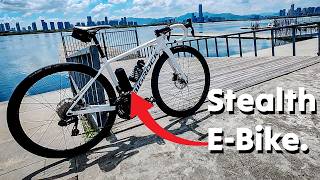 EVIGORS  Convert any bike to an ebike 250 Watts of POWAH BABY [upl. by Acihsay]