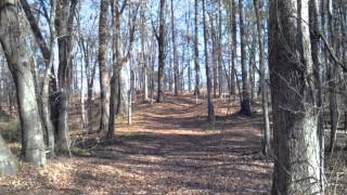 Arkansas Land Sale Miller County [upl. by Nyrrat]