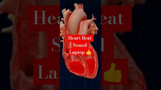 Heart Beat Sound Laptop 💞 heart heartbroken  Neet [upl. by Lennard]