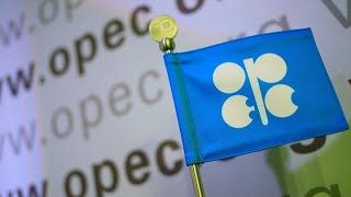 OPEC Unexpectedly Delays Meeting to November 30 [upl. by Shulins]