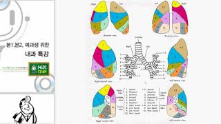 기본내과호흡기1 [upl. by Henka648]