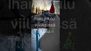 Joulu viiliksissä🎄🤪 foryou hobbyhorse [upl. by Jueta]